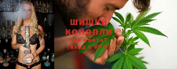 mdpv Богородицк