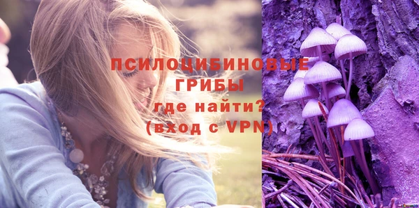 молекула духа Бугульма