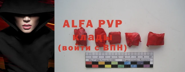 mdpv Богородицк