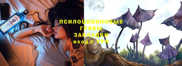 молекула духа Бугульма
